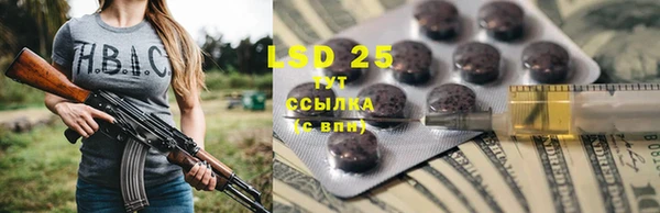ALPHA PVP Ростов
