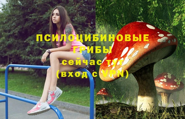 ешки Алексеевка