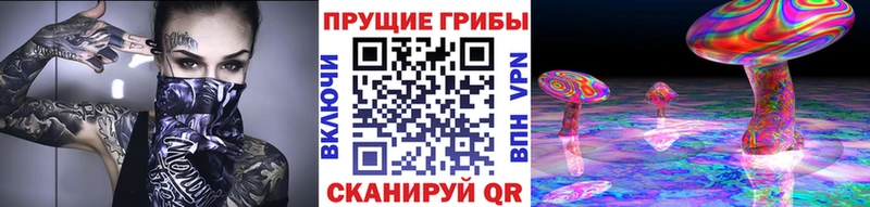 Галлюциногенные грибы Psilocybe  Мензелинск 